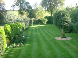 Realizzazione e manutenzione giardino