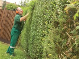 Realizzazione e manutenzione giardino